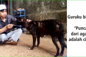 Foto santri suapi anjing telantar ini menyentuh hati, keren!