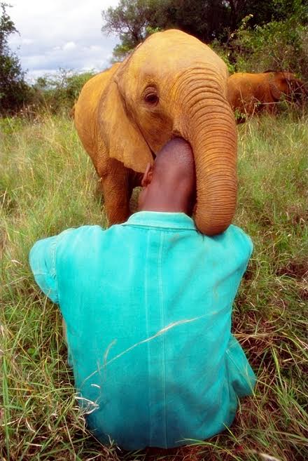 panti gajah © 2016 brilio.net