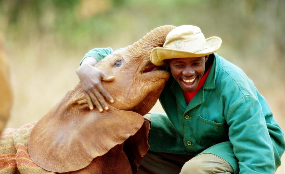 panti gajah © 2016 brilio.net