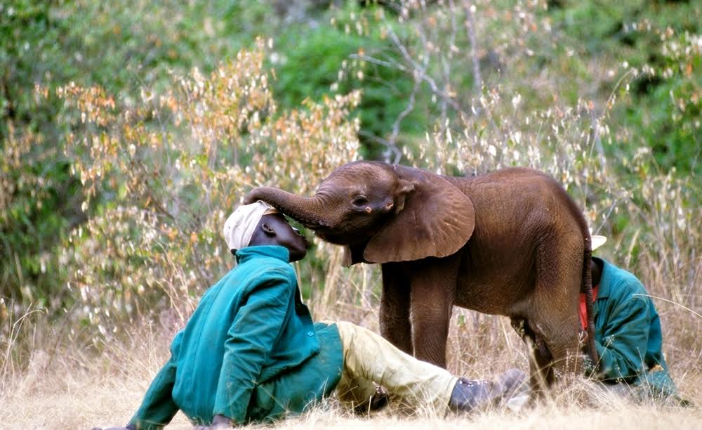 panti gajah © 2016 brilio.net