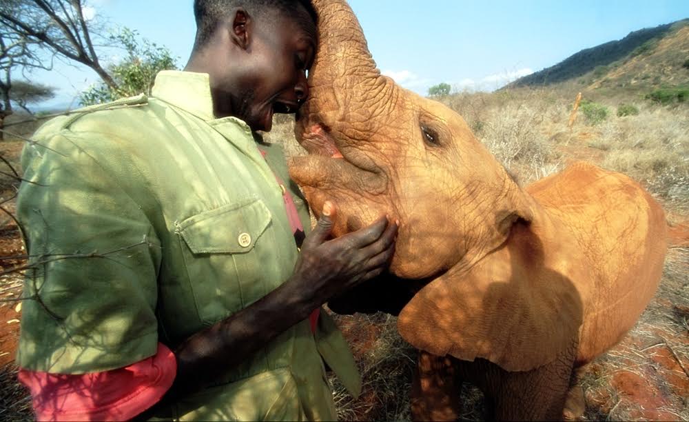 panti gajah © 2016 brilio.net