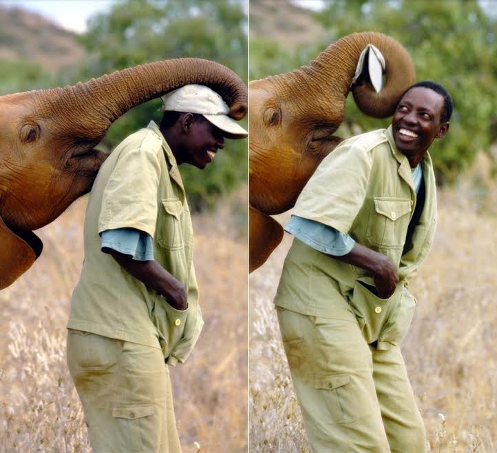 panti gajah © 2016 brilio.net