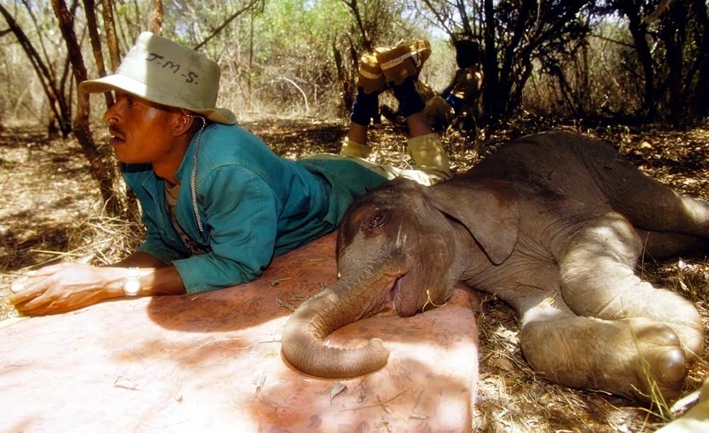 panti gajah © 2016 brilio.net