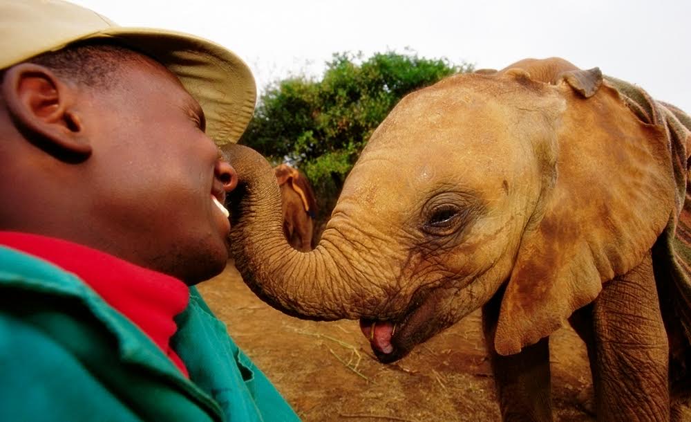 panti gajah © 2016 brilio.net