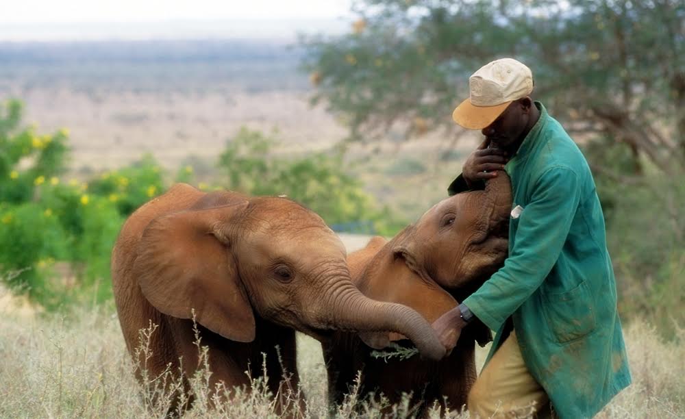 panti gajah © 2016 brilio.net