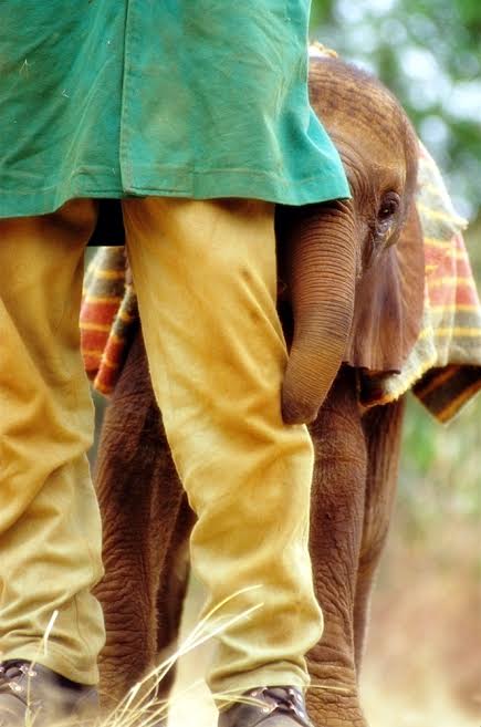 panti gajah © 2016 brilio.net