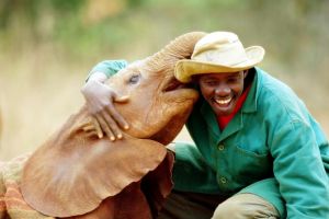 Panti asuhan ini khusus disediakan untuk anak gajah terlantar, brilio!