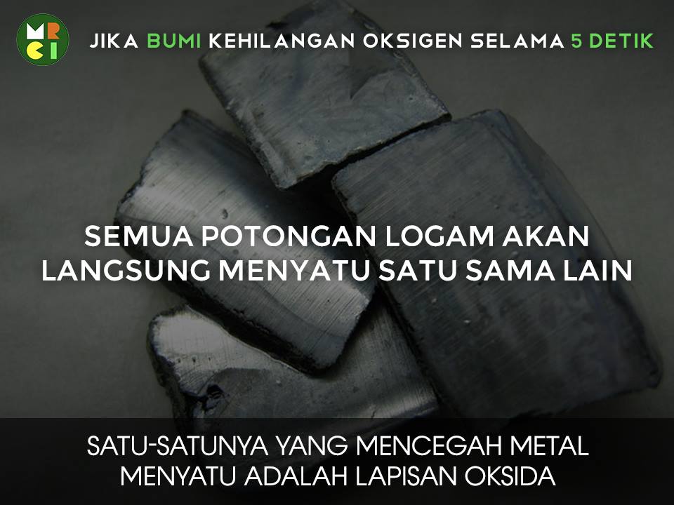 Oksigen Bumi © 2016 brilio.net