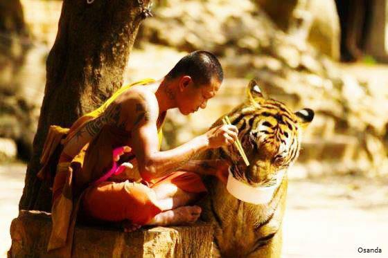 buddha dan hewan  © 2016 brilio.net