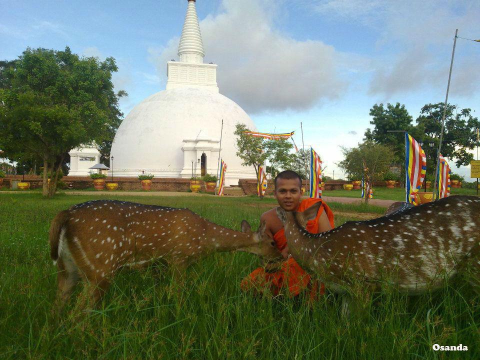 buddha dan hewan  © 2016 brilio.net