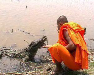 buddha dan hewan  © 2016 brilio.net