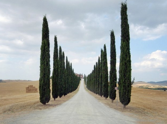 jalan indah  © 2016 brilio.net jalan indah  © 2016 brilio.net