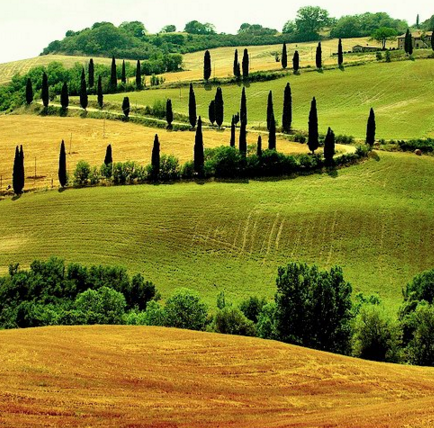 jalan indah  © 2016 brilio.net jalan indah  © 2016 brilio.net