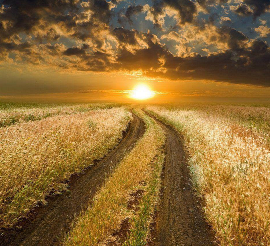 jalan indah  © 2016 brilio.net jalan indah  © 2016 brilio.net