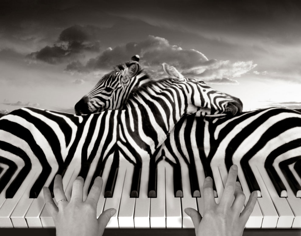 foto thomas barbèy © 2016 brilio.net