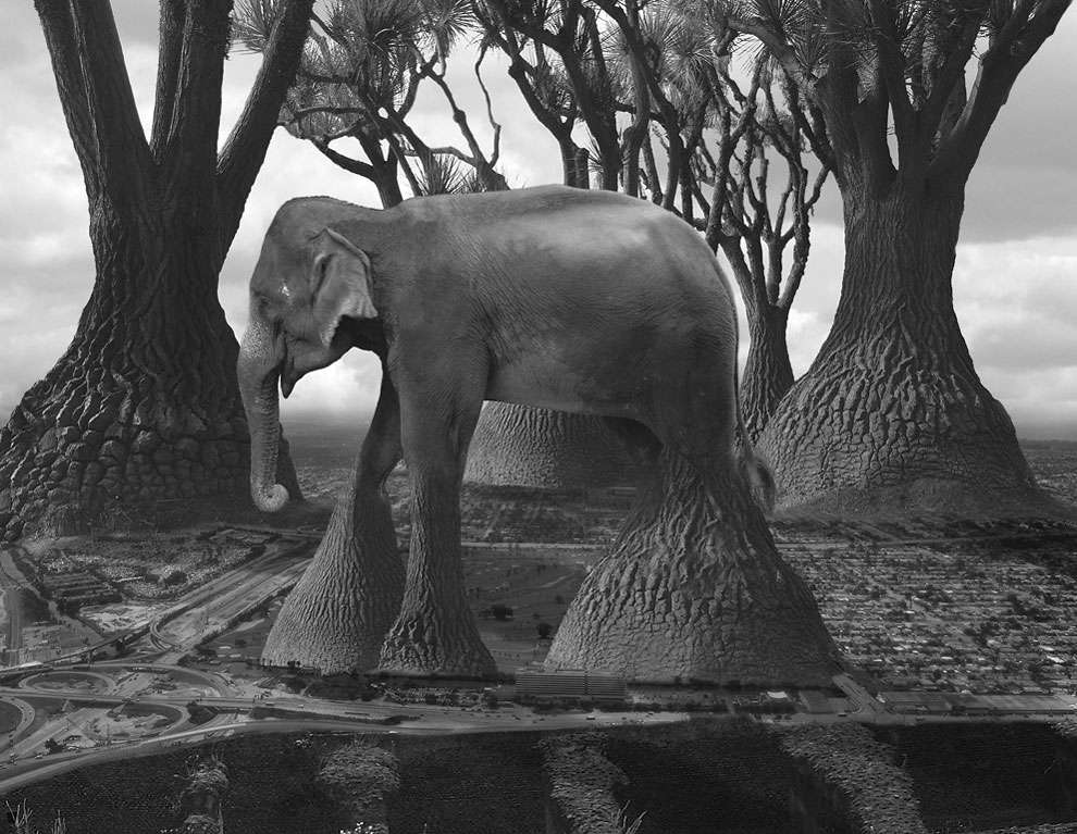 foto thomas barbèy © 2016 brilio.net