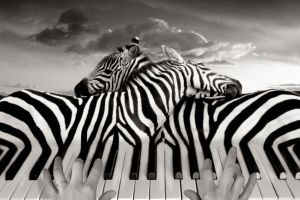 23 Editan foto hitam-putih ini buktikan editor fotonya kelas wahid