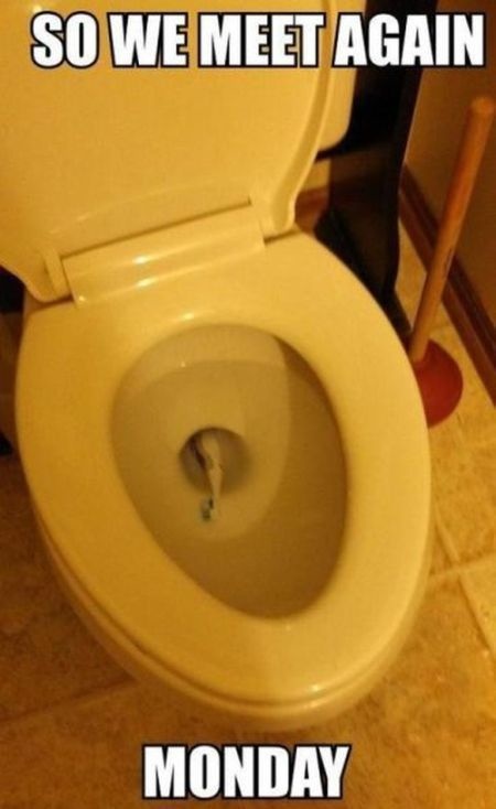 21 Ketiban apes © 2016 brilio.net 21 Ketiban apes © 2016 brilio.net