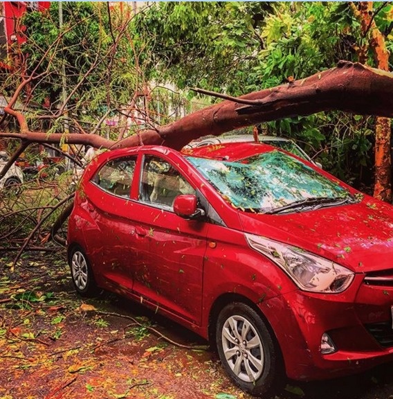 21 Ketiban apes © 2016 brilio.net 21 Ketiban apes © 2016 brilio.net