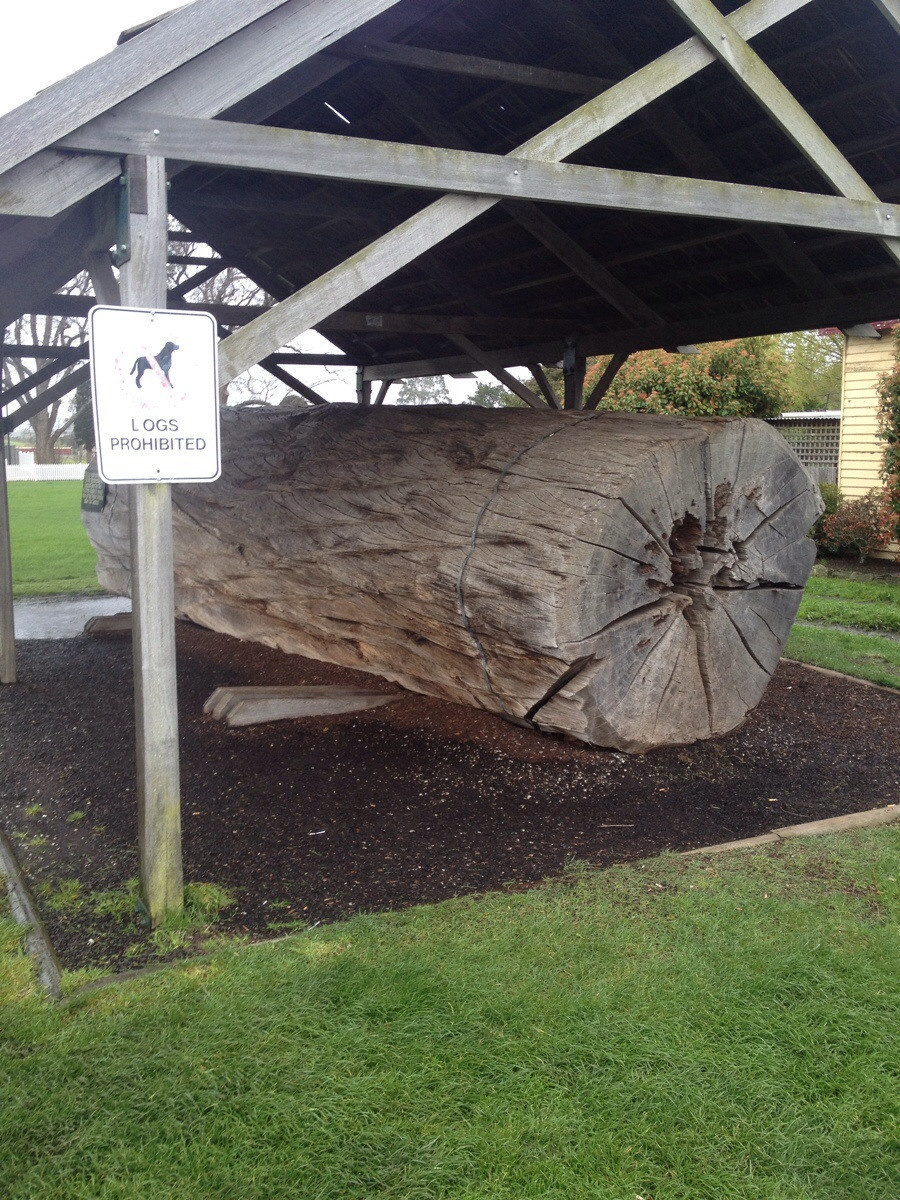 foto aneh © 2016 brilio.net