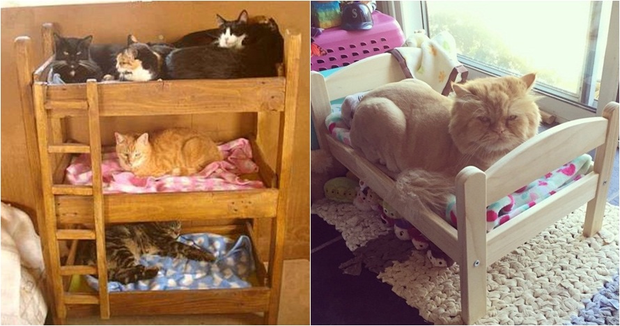 15 Desain tempat tidur untuk kucing kesayangan, lucu banget!