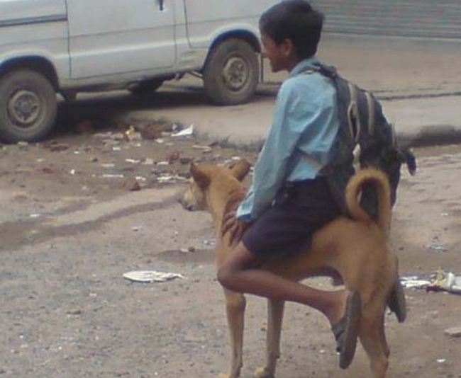 anak India India Times 