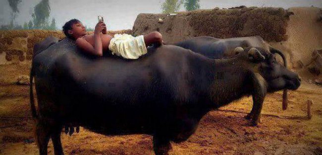 anak India India Times 