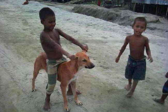 anak India India Times 