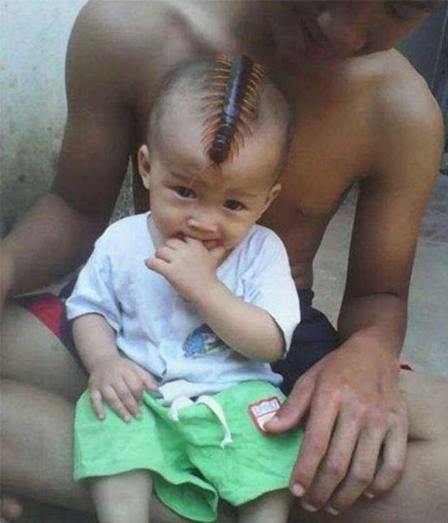 anak India India Times 