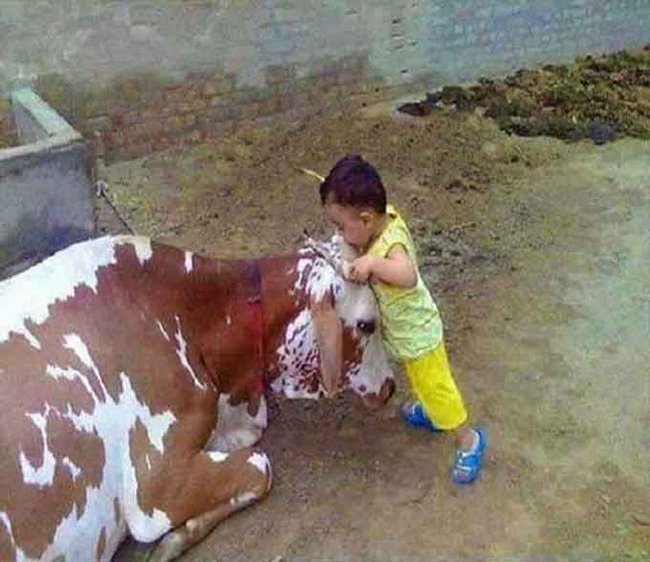 anak India India Times 