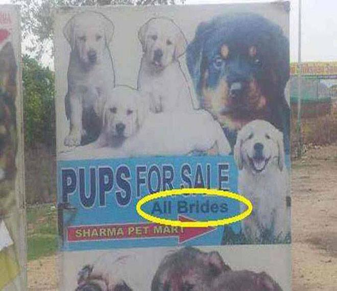 english kacau india  © 2016 brilio.net