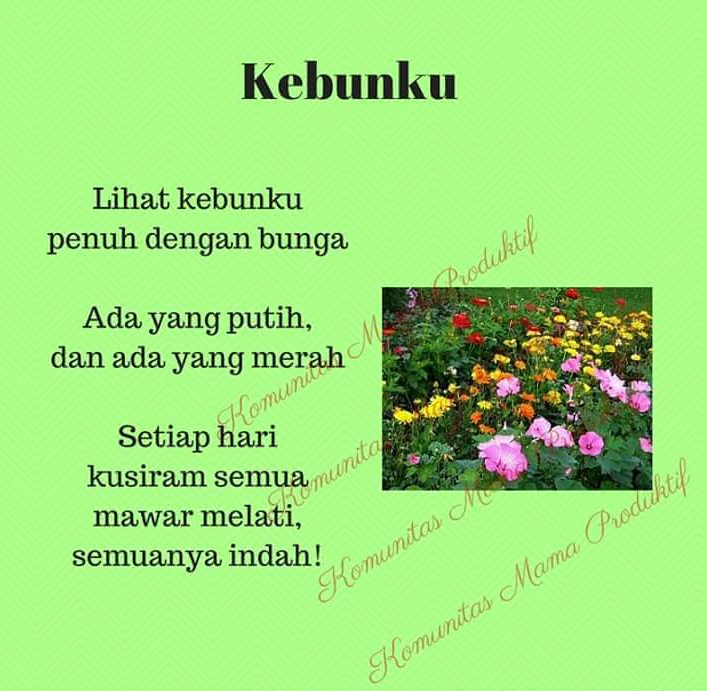 lagu anak  © 2016 brilio.net lagu anak  © 2016 brilio.net