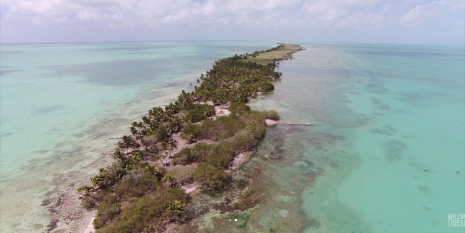 pulau pribadi leonardo dicaprio © 2016 brilio.net