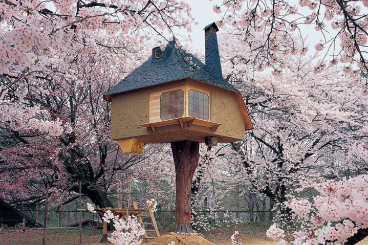 rumah pohon  © 2016 brilio.net rumah pohon  © 2016 brilio.net