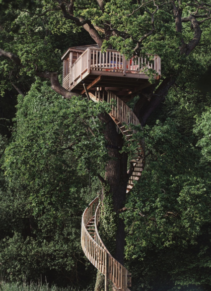 rumah pohon  © 2016 brilio.net rumah pohon  © 2016 brilio.net