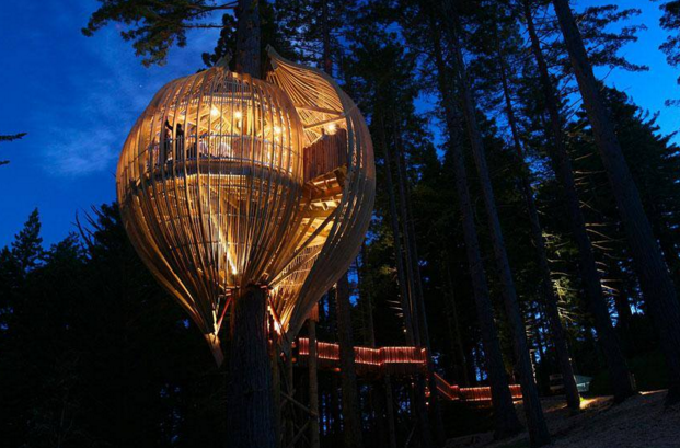 rumah pohon  © 2016 brilio.net rumah pohon  © 2016 brilio.net