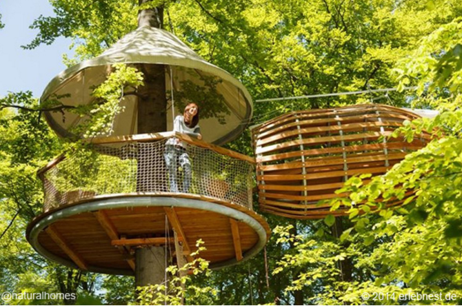 rumah pohon  © 2016 brilio.net rumah pohon  © 2016 brilio.net