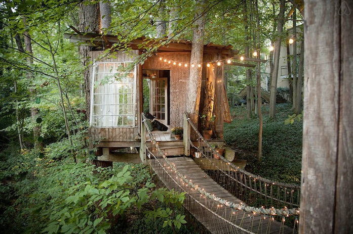 rumah pohon  © 2016 brilio.net rumah pohon  © 2016 brilio.net