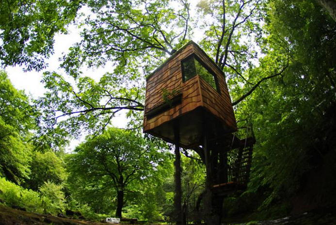 rumah pohon  © 2016 brilio.net rumah pohon  © 2016 brilio.net