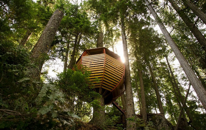 rumah pohon  © 2016 brilio.net rumah pohon  © 2016 brilio.net