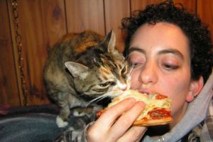 15 Foto ekspresi kucing makan pizza ini kocak! Bikin gemes! 