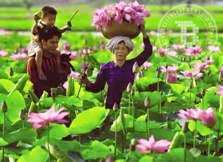 Anak Desa Hu © 2016 brilio.net