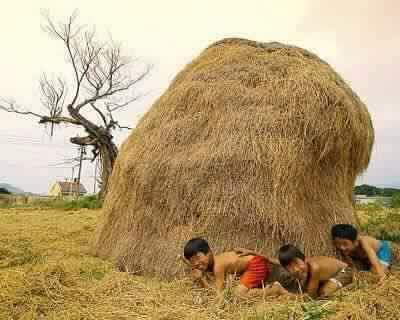 Anak Desa Hu © 2016 brilio.net