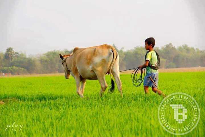 Anak Desa Hu © 2016 brilio.net