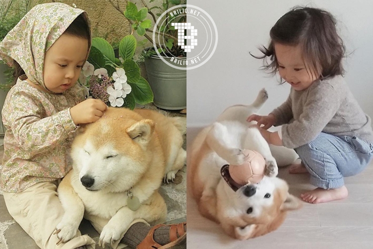 15 Foto bukti eratnya persahabatan bocah dengan anjingnya, so sweet!