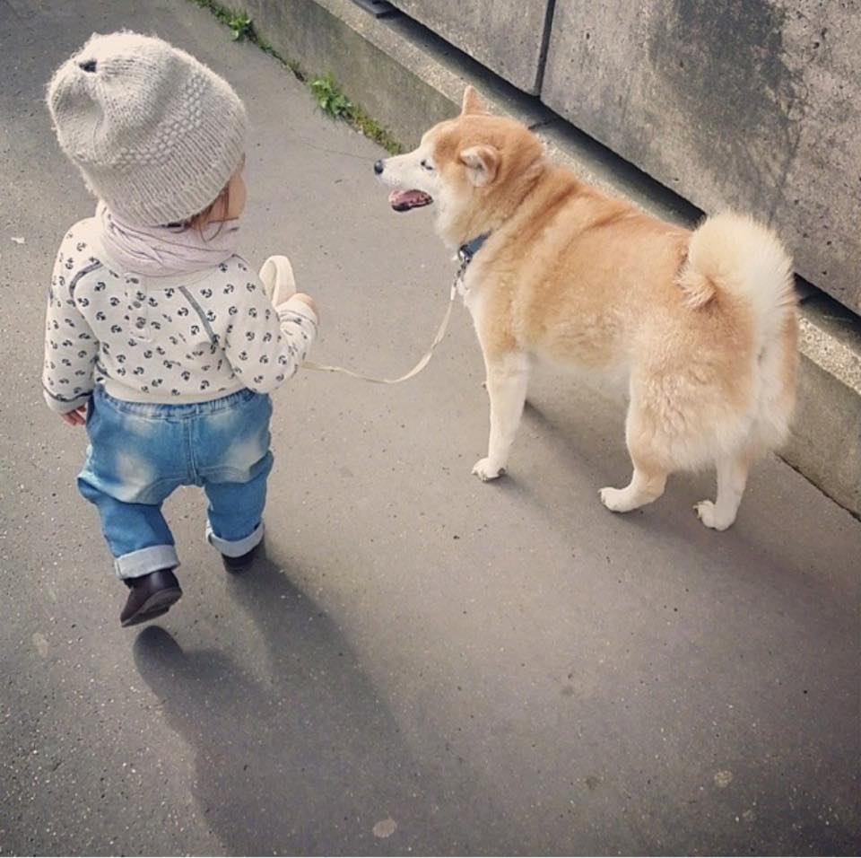 philo pompon © 2016 brilio.net