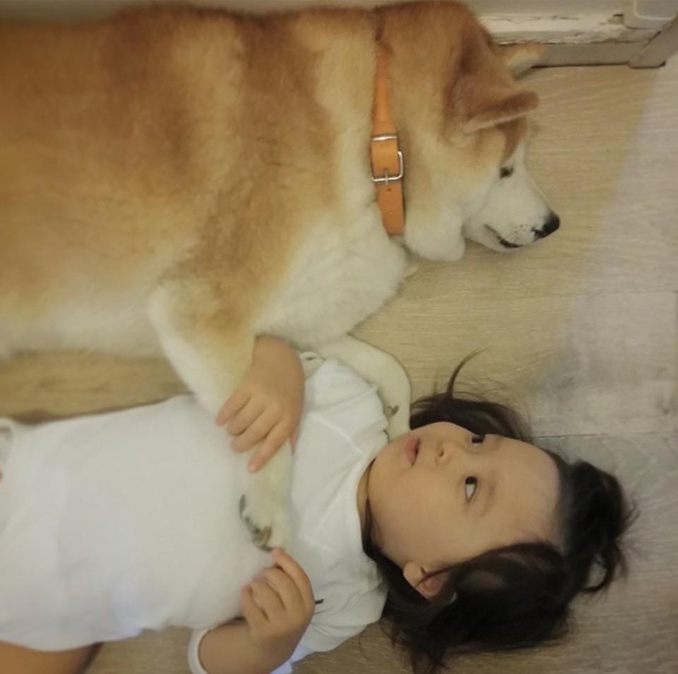 philo pompon © 2016 brilio.net