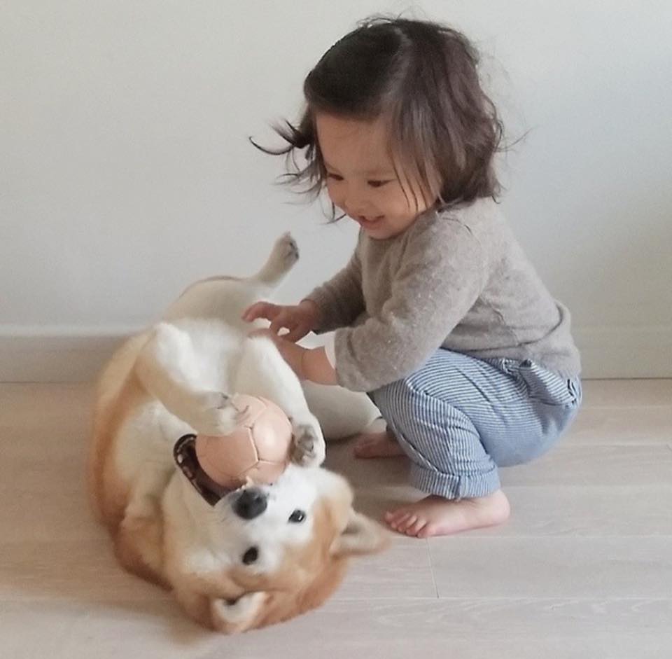 philo pompon © 2016 brilio.net