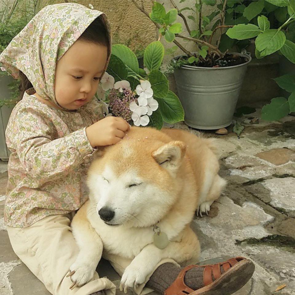 philo pompon © 2016 brilio.net