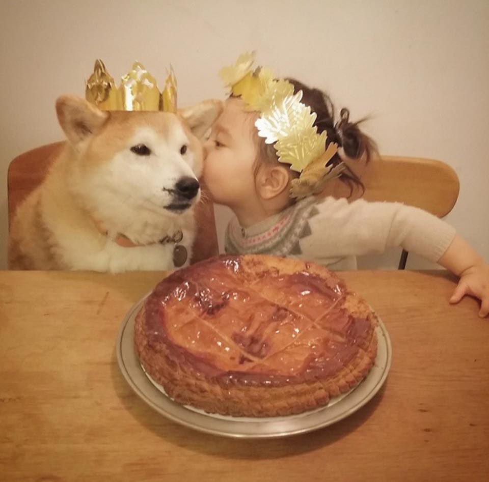 philo pompon © 2016 brilio.net